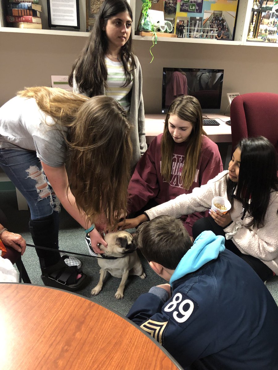 CHSCnslingCrew's tweet photo. Thank you @HOPESquadCHS for introducing us to some new furry friends! This was a great way to kick off #HopeWeek2019🐾🐶 💕 #DragonStrong @CarrollHigh @HopeSquads https://t.co/9ZbcChAUXD
