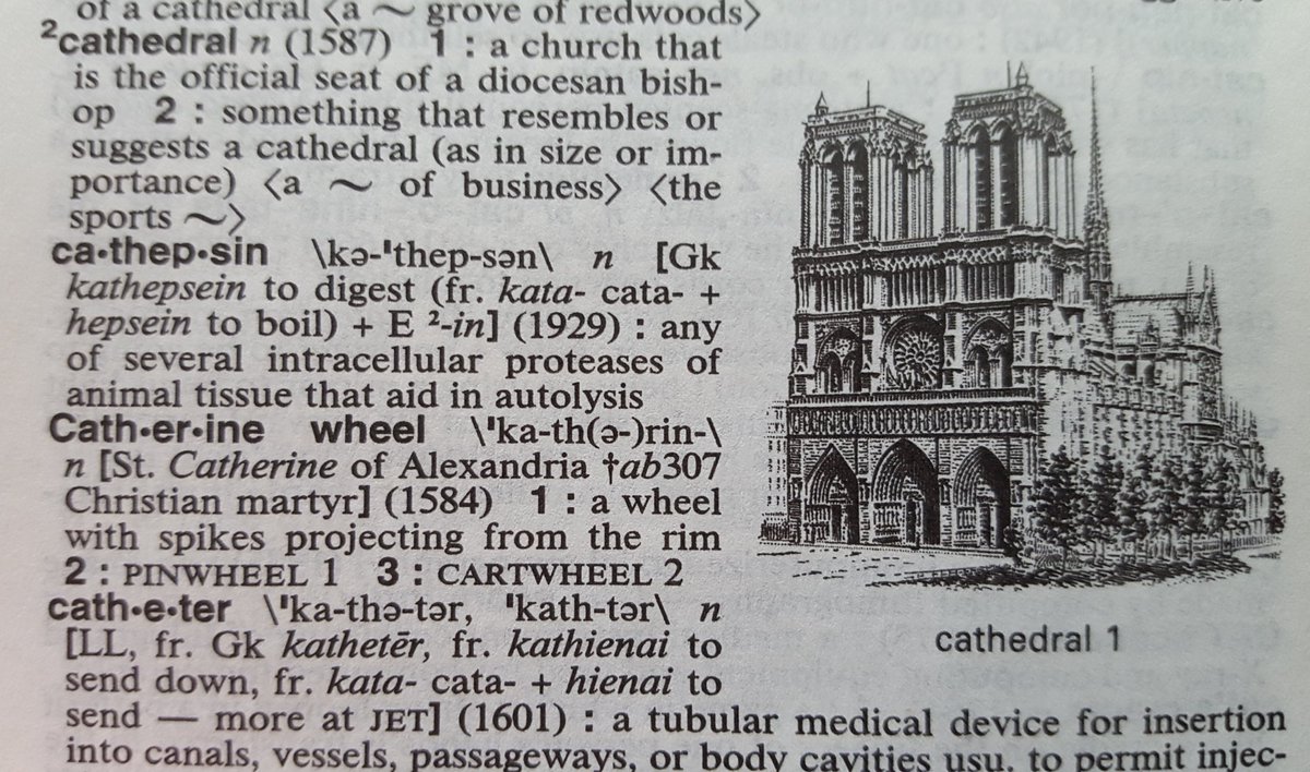 Peter Sokolowski Su Twitter The Word Cathedral Comes From The