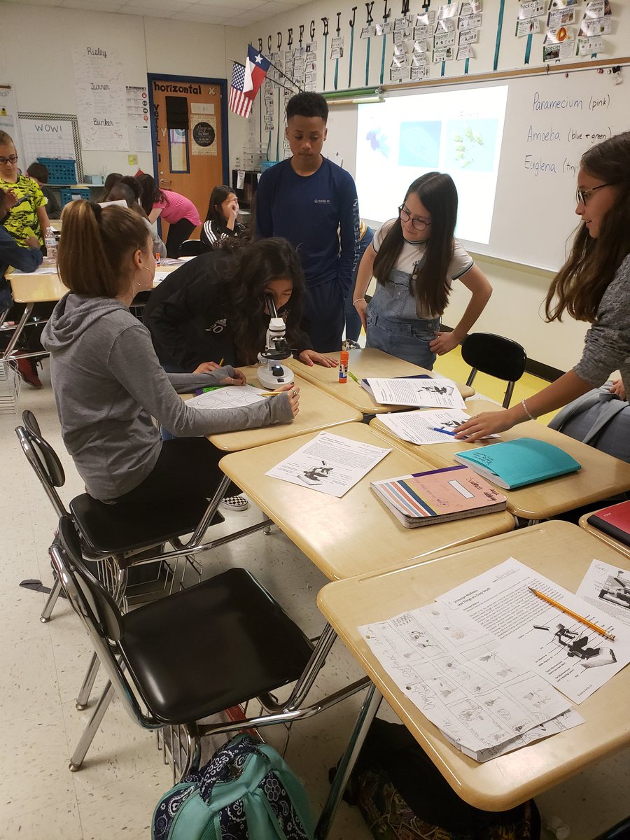 Jess_Bunker's tweet photo. My homeroom's first microscope lab! https://t.co/ArWekHUy7v