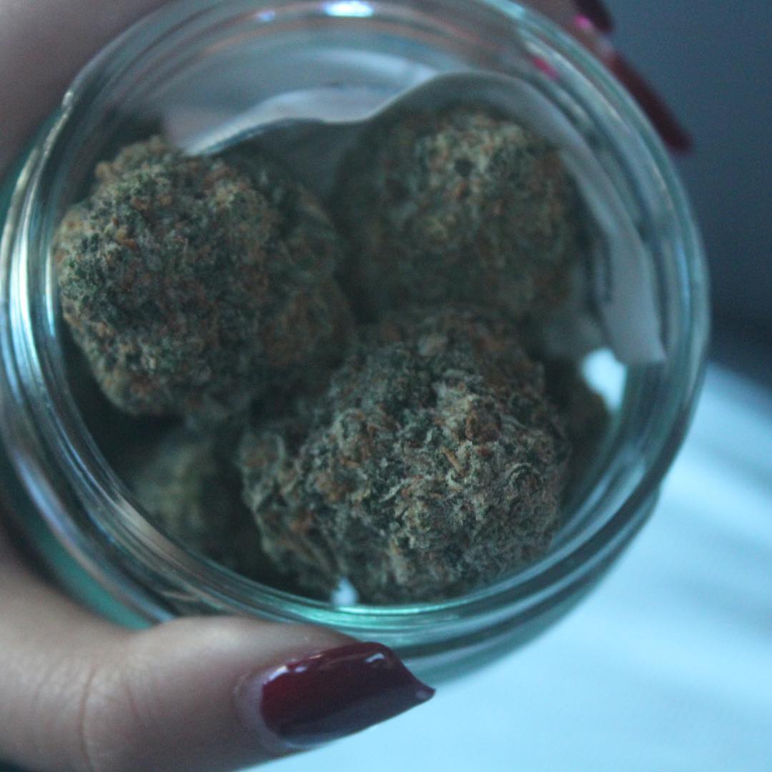 integraherbal tweet media