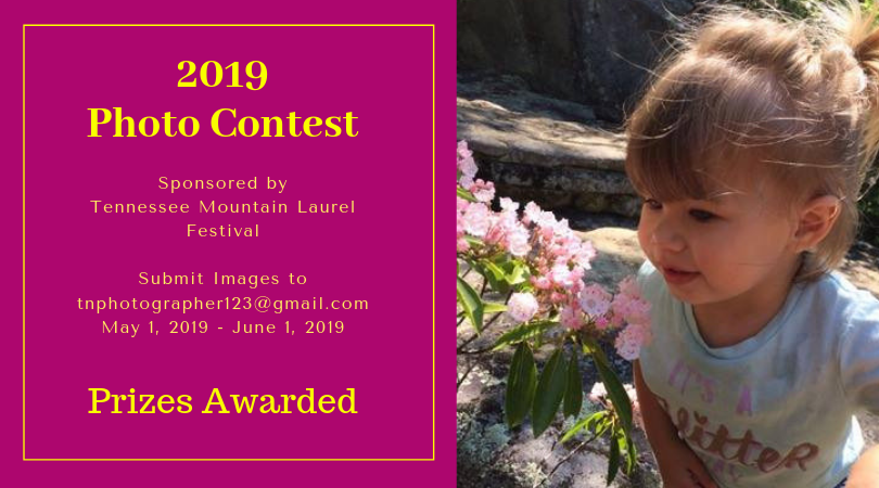 SeeMoCoTN's tweet photo. May 18, 2019 Tennessee Mountain Laurel Festival PHOTO CONTEST #seemoco #hikemoco #tnmlm #tnmlf #tnstateparks #obednps #bigsouthfork #friendsoftheRSNA #tnvacation #madeintn #funpetparade #tnmusic https://t.co/kI93eLTaIH