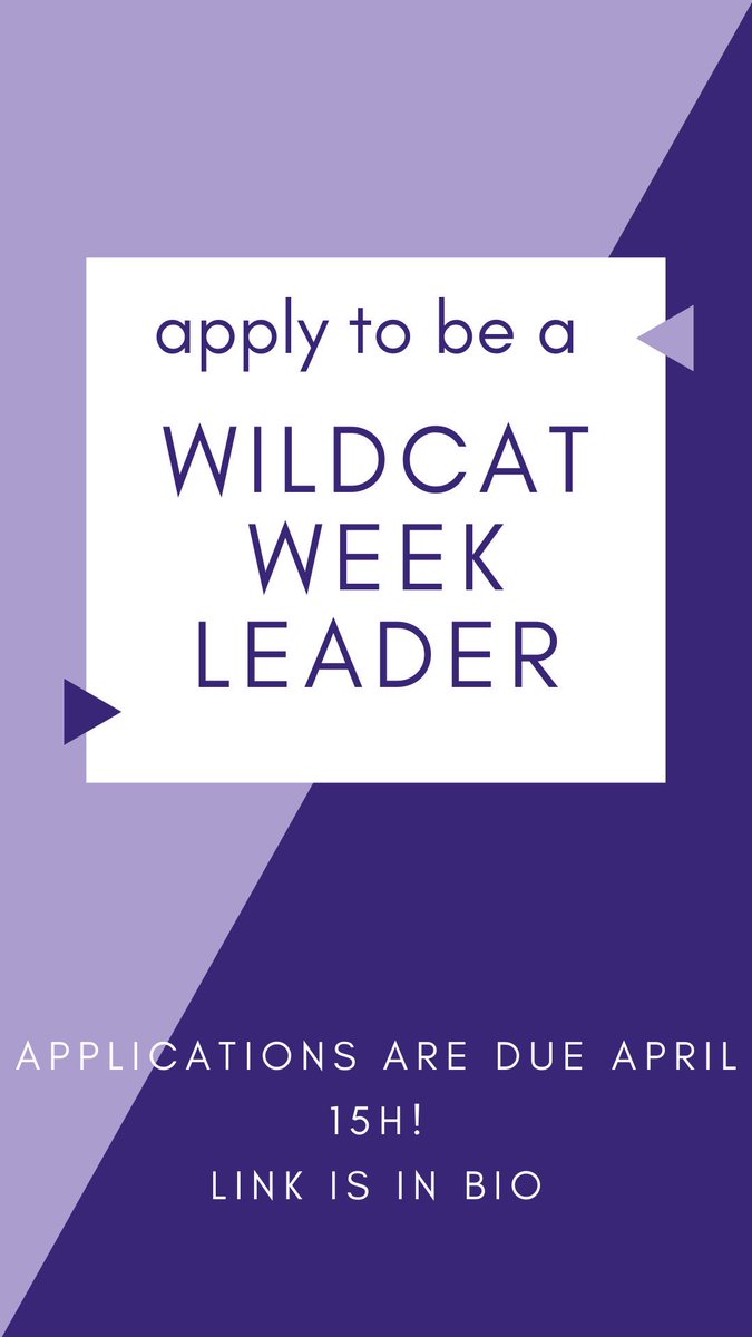 Wildcats, you have LESS THAN 2 HOURS to apply. You don’t want to miss out on this opportunity! The link in the bio to apply! I highly suggest you do it! It’ll be best way to end your summer 💜