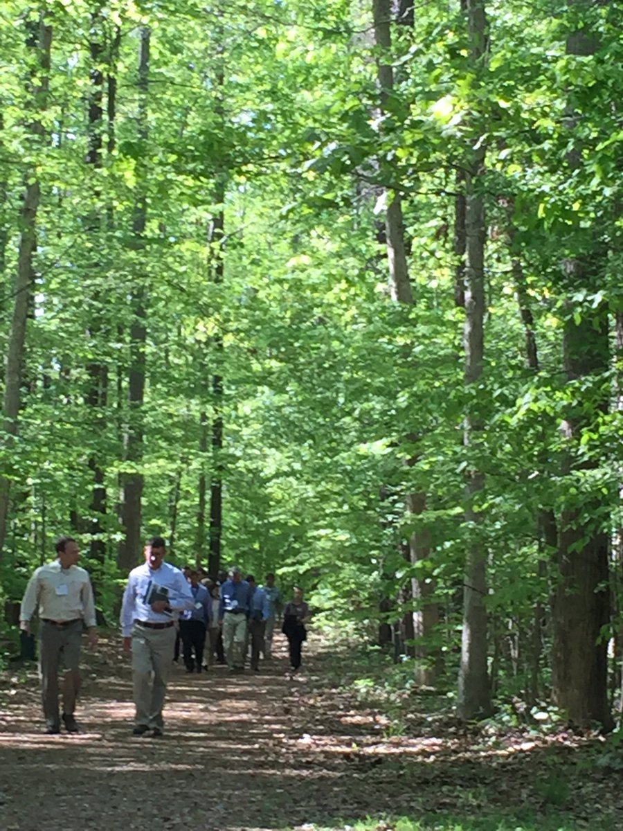 2 weeks left for Early Bird registration for our Timberland Investments short course. May 21-22 Washington DC - Earn 12 hours of SAF-CFE credits. Non-profit rates and multi-person rates available.  Learn more - sites.nicholas.duke.edu/ti2019/
#conservation #finance #forests