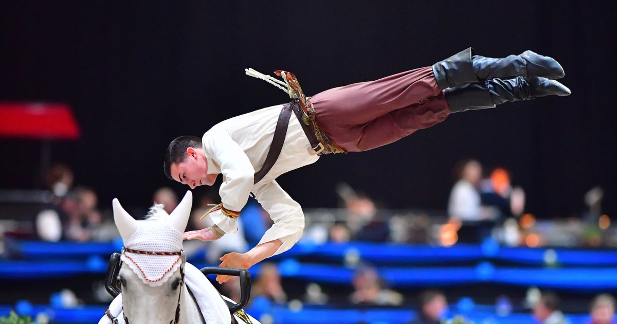 The battle is ON! 

Vaulting guru, Hannah Eccles is here to give you the insider knowledge on all things FEI #Vaulting ahead of the showdown this weekend! 🏆

Who will win? What routine will they do? WHY IS THIS SO TENSE!? 😱😱😱
👉 fei.org/stories/spotli…