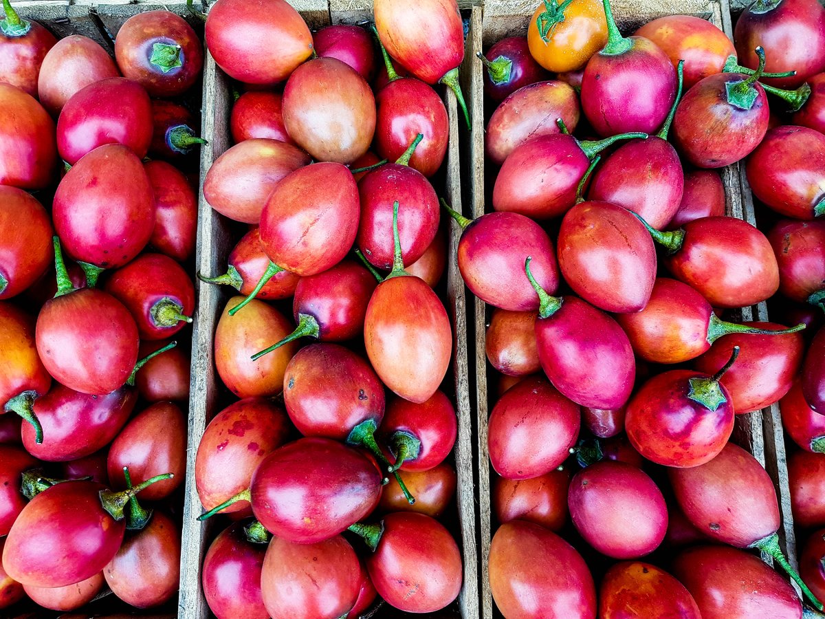 Colourful snapshots from the Ecuadorian food market! 

galapagos-pro.com/en/top-attract…

#Ecuador #Market #Farmersmarket #Ecuadormarket #indigenousmarket #fruits #vegetables #ecuadortourism #tourist #Ecuadortours #Southamerica #Southeramericatour #luxurytour #culture #experience