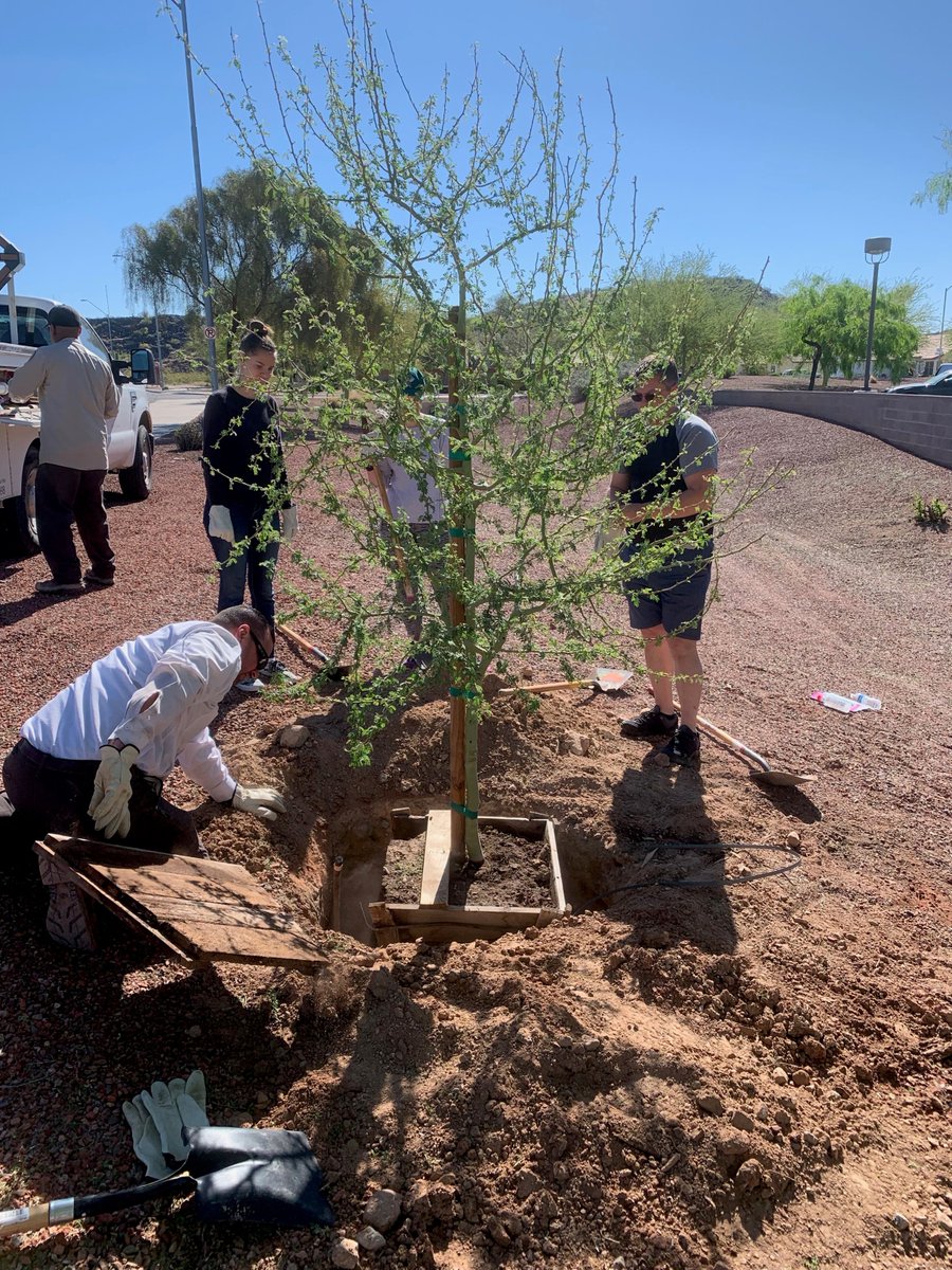 MyVolunteerPHX's tweet photo. Another successful #CitizenForester class this weekend at @PhoenixParks Paseo Highlands. Thank you to the volunteers and staff that came out to make this possible!
#plantasolution #HeatReady @TheldaWilliams1 @CityofPhoenixAZ https://t.co/CqSmb3XWt5