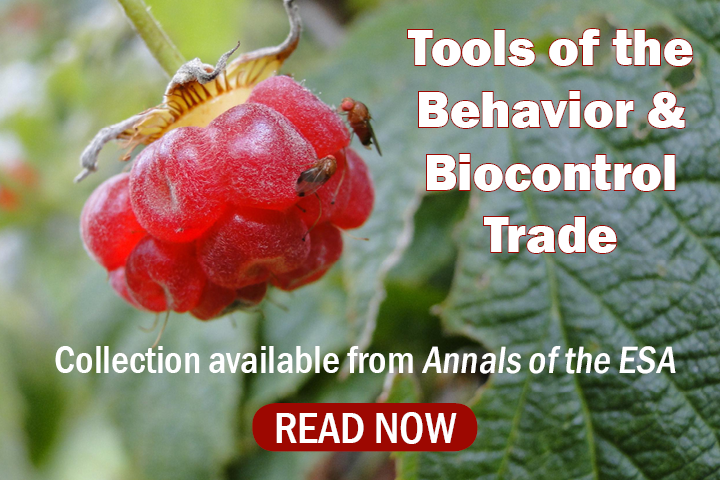 New Special Collection: Discover and learn about the tools researchers are using to study arthropod behavior and biological control in the latest collection from Annals of the Entomological Society of America. academic.oup.com/aesa/pages/too…