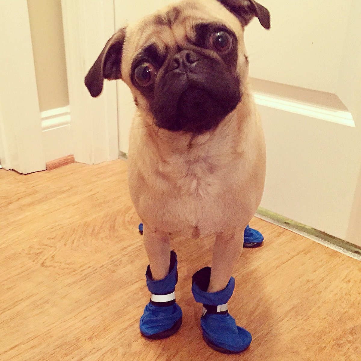 its little boots im dead😅😍