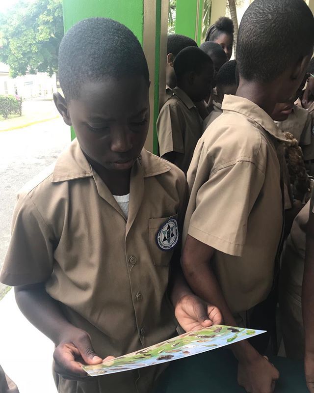 TheEventsSeeker's tweet photo. Quasii Saams of Shortwood Practicing School fascinates himself with the Land Bird of Jamaica Card at our booth today.. https://t.co/dDS7oqTKp2 https://t.co/JyVCMafJmv