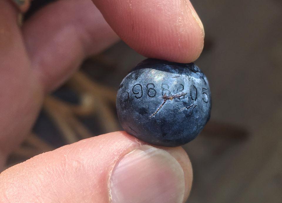 D4NHO5TXoAsPso6.jpg:large