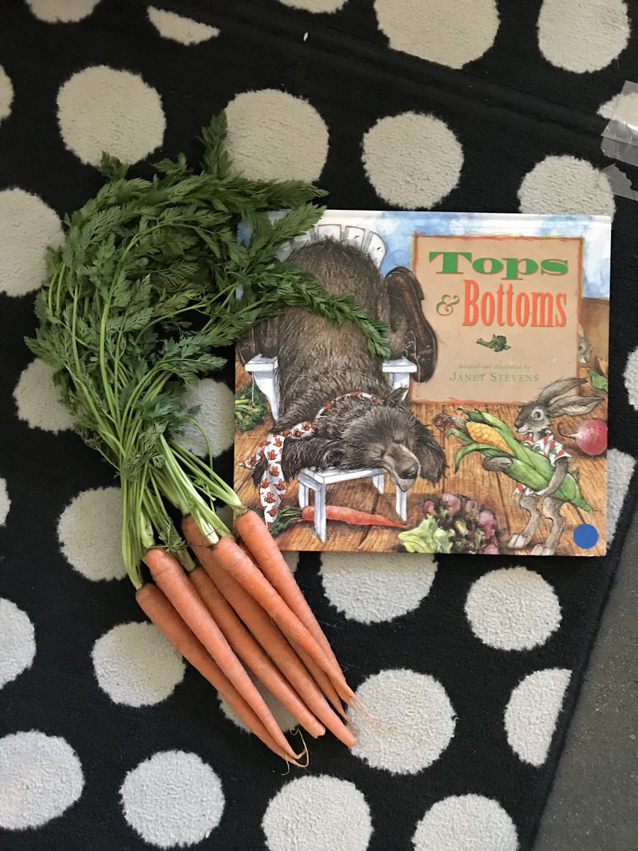 ashley_hinck's tweet image. I wonder what will happen to the “middle” of the carrots?! 🥕@LBSharks @isdscience #isdstrong #isdfirst #goingbeyond #sharks4life #welovescience