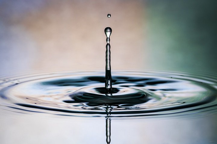 CFPUA's tweet image. Time for a water conservation #tip! When cooking, peel and clean veggies in a large bowl of water instead of under running water. You can even use that water for your plants when you&apos;re done instead of simply dumping it! #GreenRoutine