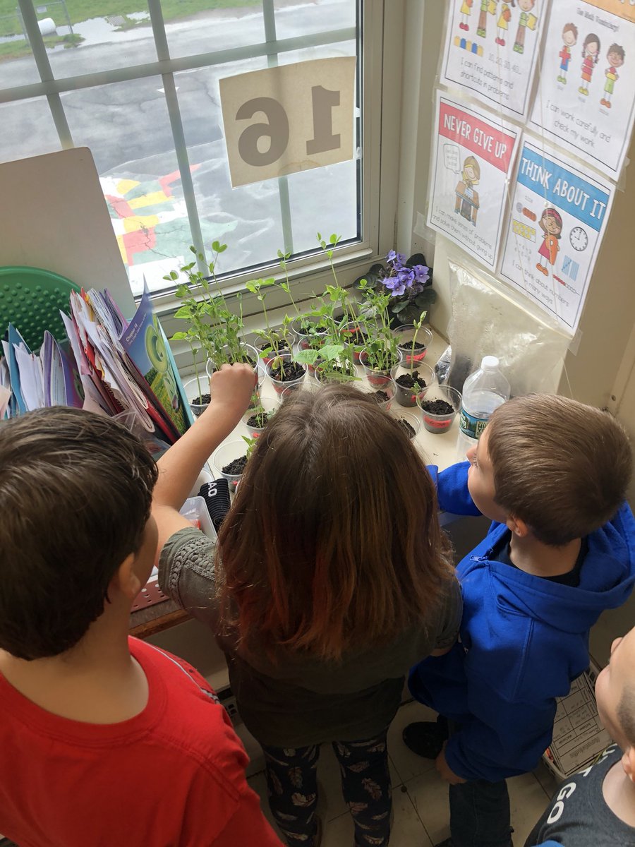 Miss_Yarmark's tweet photo. Coming in on a Monday so excited to see how much our plants have grown! 🌱@LeonardoBearsNJ #MTPSpride https://t.co/bTksasSEpQ