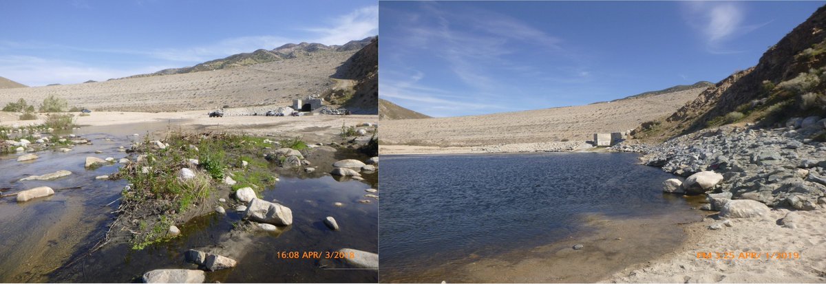 CWECorp's tweet photo. Southern California has been getting plenty of precipitation since the beginning of 2019. CWE has been conducting #waterqualitymonitoring at Mojave Forks Dam Outlet. Look at how much water we are getting this year compared to Spring 2018! https://t.co/B6ALi0tKPM