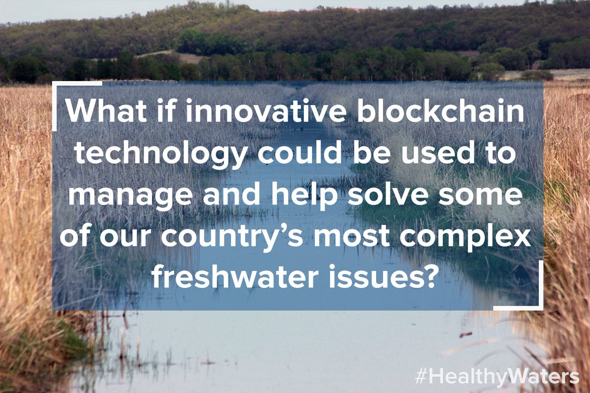 DataStreamH2O's tweet photo. What if innovative blockchain technology could be used to manage and help solve some of our country’s most complex freshwater issues? Read Carolyn DuBois’ opinion piece in @TheHillTimes to learn about how @DataStreamH2O is doing exactly that https://t.co/I8L9w3p0lY #HealthyWaters https://t.co/MO4XPAu1sm