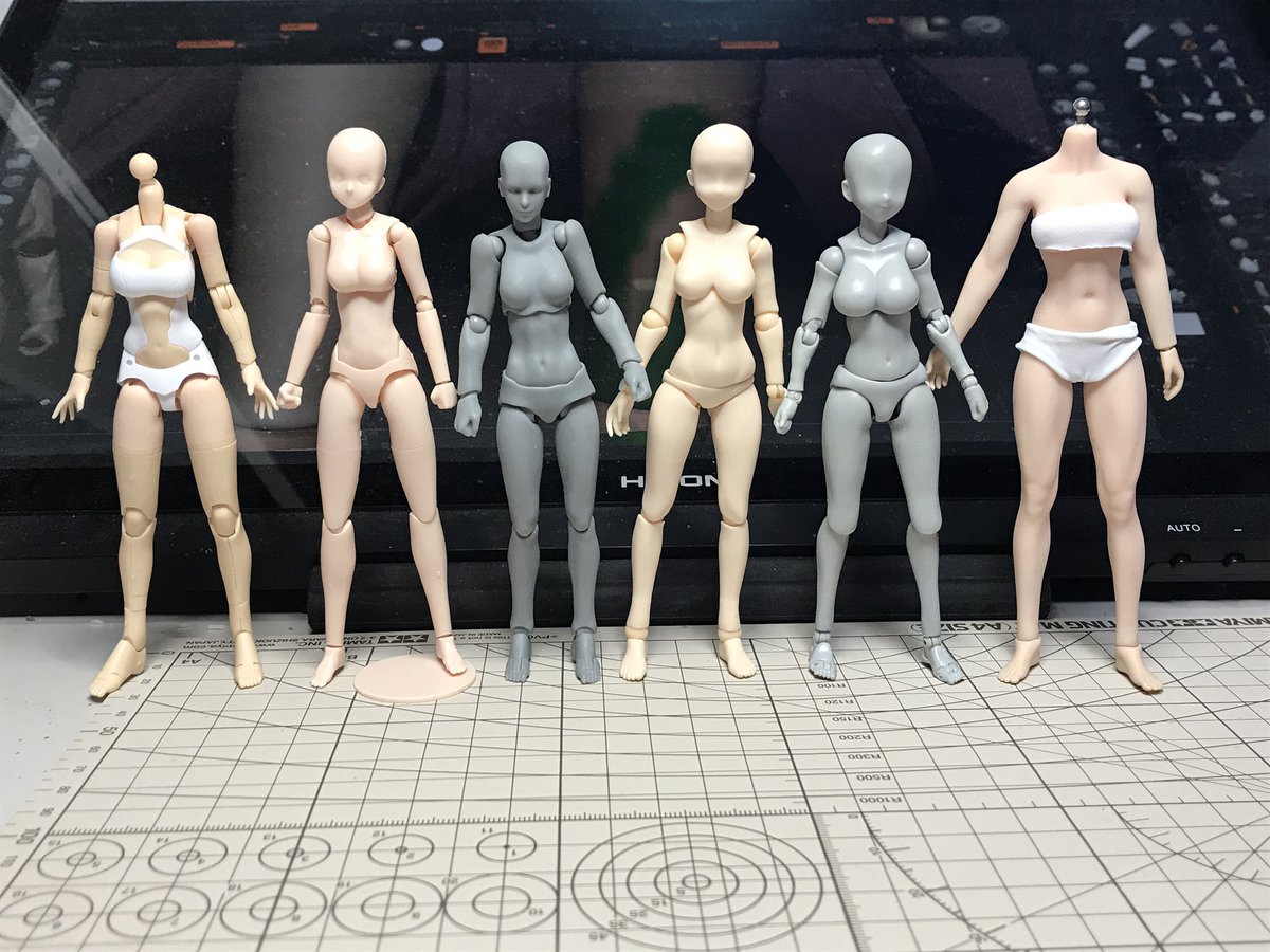 Zaki 素体比較 Zaki 素体比較