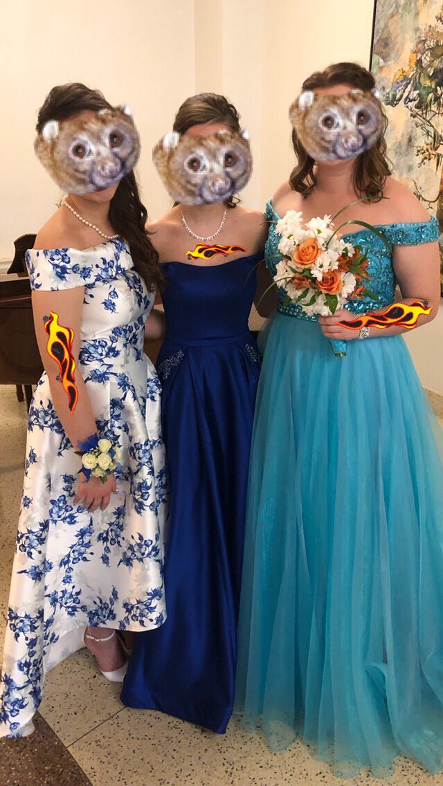 Just101T's tweet photo. A few elegant pottos...
#just101things https://t.co/JkWNbuidzT