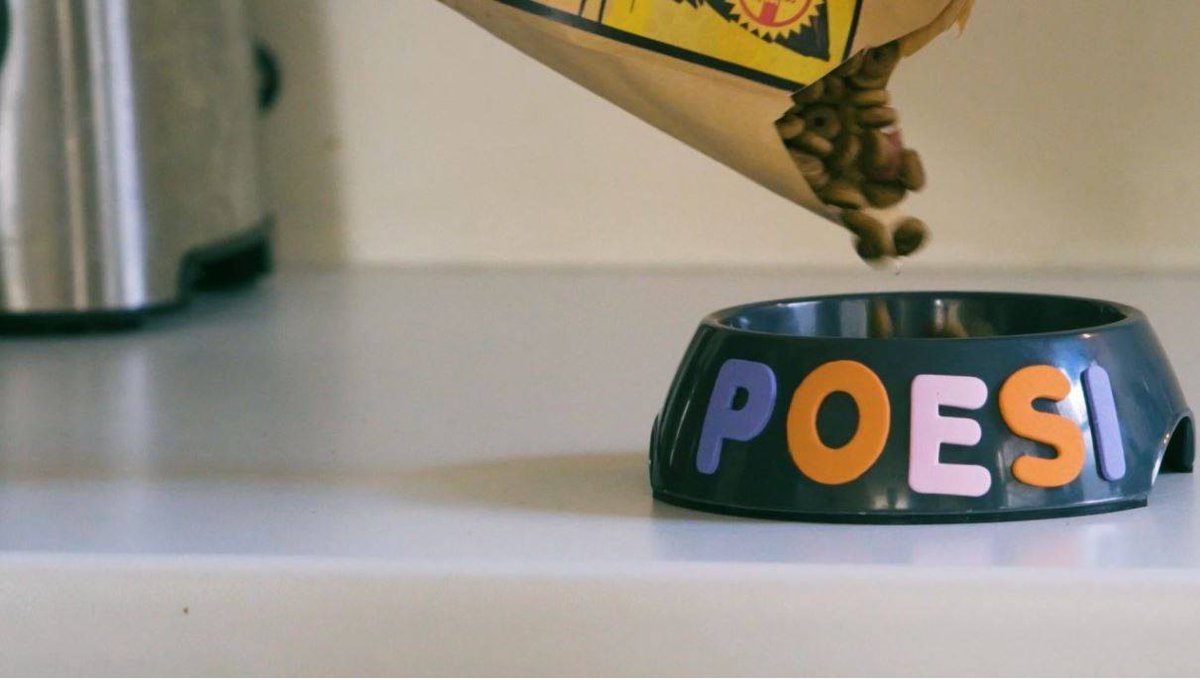 ⚡️ Nog héél even geduld! ⚡️
Deze week wordt de laatste zak kattensnoepjes opengescheurd. #zetjeschrap #bereidjevoor #nietvoorpussys