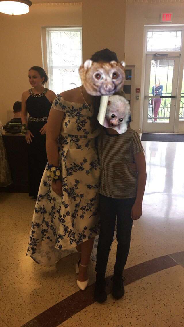 Just101T's tweet photo. An adult elegant potto and her roommate in law baby potto https://t.co/iBW1p4UGej