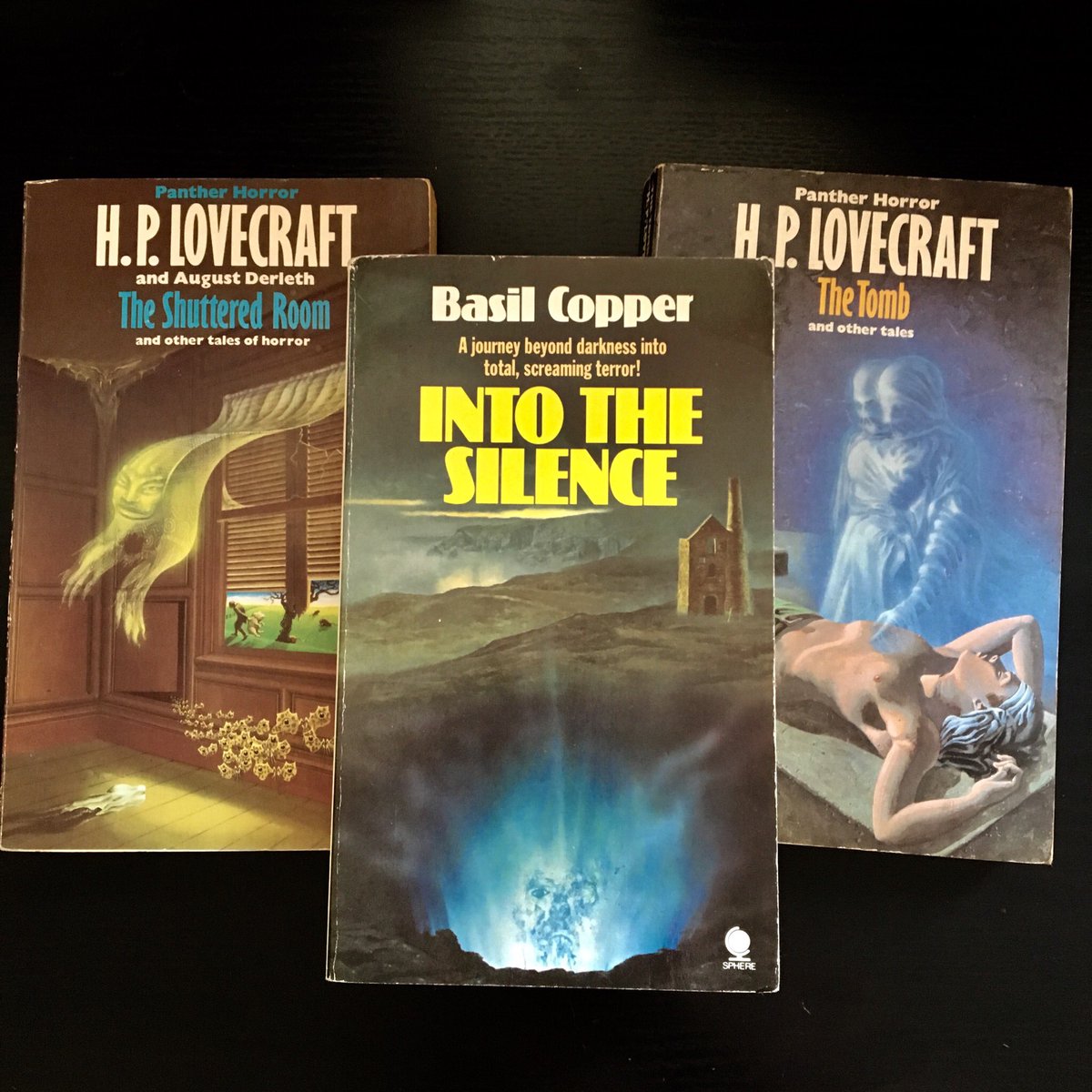 Alldatalostbook's tweet photo. Shuttered rooms, tombs, caverns, all kinds of creepiness from Lovecraft and Copper.
https://t.co/PLL1ho8WIf

#hplovecraft #weirdtales #horror #weirdfiction #horrorbooks #vintagehorror #horrorfiction #paperback  #alldatalostbooks #bookish #cthulhu #cthulhumythos #basilcopper https://t.co/ZQZpMpUbmn
