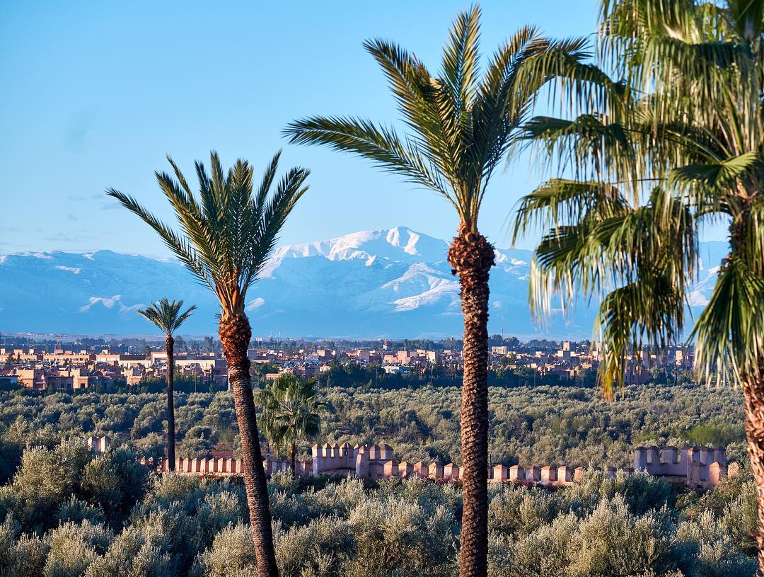 La_Mamounia's tweet image. 🌞𝐒𝐮𝐩𝐞𝐫𝐛 𝐯𝐢𝐞𝐰 𝐨𝐯𝐞𝐫 𝐭𝐡𝐞 𝐡𝐨𝐭𝐞𝐥'𝐬 𝐥𝐮𝐱𝐮𝐫𝐢𝐨𝐮𝐬 𝐠𝐚𝐫𝐝𝐞𝐧𝐬 💚 𝐭𝐡𝐞 𝐦𝐚𝐣𝐞𝐬𝐭𝐢𝐜 𝐀𝐭𝐥𝐚𝐬 𝐌𝐨𝐮𝐧𝐭𝐚𝐢𝐧𝐬… 𝐀 𝐬𝐢𝐠𝐡𝐭 𝐭𝐡𝐚𝐭 𝐲𝐨𝐮 𝐰𝐢𝐥𝐥 𝐧𝐞𝐯𝐞𝐫 𝐭𝐢𝐫𝐞 𝐨𝐟! #RoomWithView #springtime