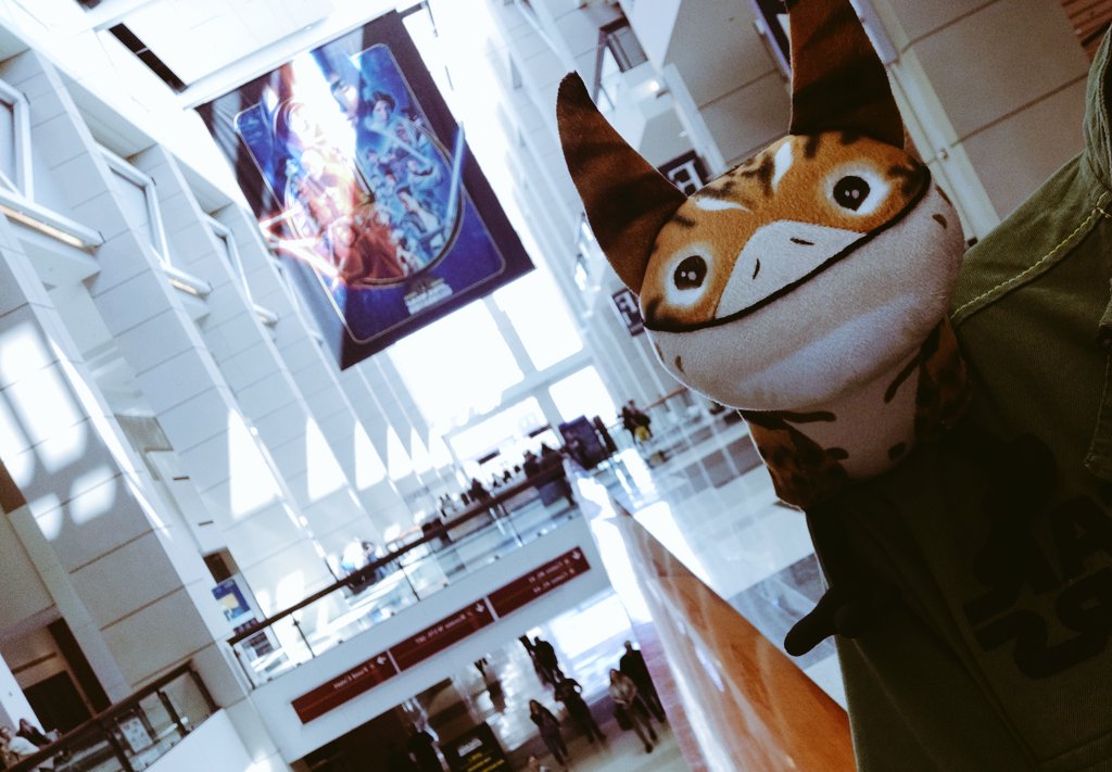 Time to head home! Thank you  #StarWarsCelebration. It's been purrfect!   #LothCatAtSWCC