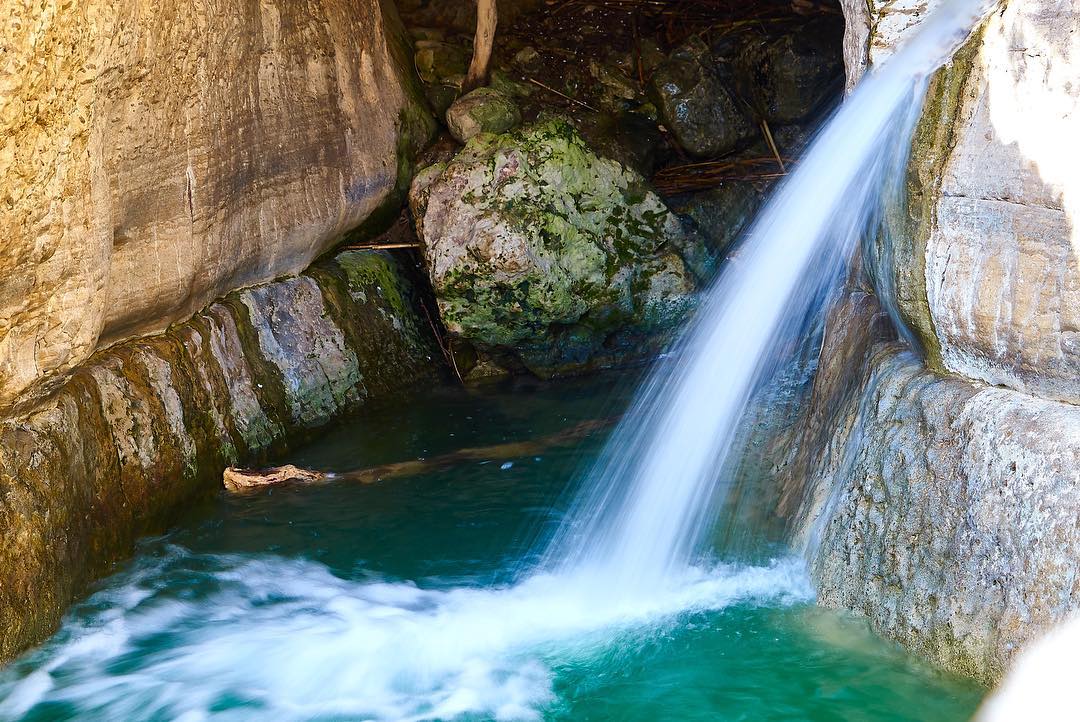 IsraelTourism's tweet photo. A hike through #EinGedi's botanical gardens is sure to rejuvenate your spirit! #VisitIsrael (📷: https://t.co/smmwXkXCfg) https://t.co/uV8W1zu2FM