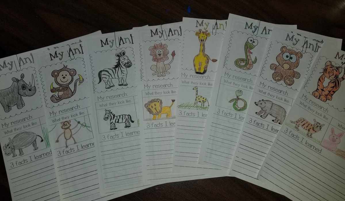 Kindergarten Animal Research Projects begin! #ALPLearn <a href="/ToledoZoo/">Toledo Zoo</a>