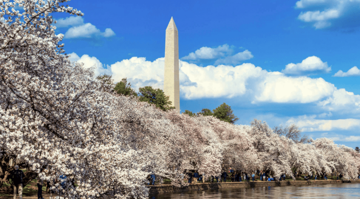 Jakes_Moving's tweet photo. Can't afford a Washington D.C. home or apartment? You're far from the only one. Stay in the DC area by living instead in one of these affordable nearby locations: https://t.co/ucP8yrBUFB https://t.co/palRtw8cmh