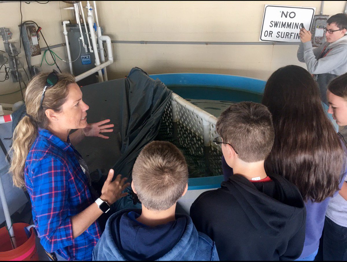 BTMSSTEM's tweet photo. Another beautiful day and another great trip to the Whitney Lab Marine Turtle Hospital ๐ข๐ฆ
๐ฏ๐
Thanks to the Flagler Ed Foundation
@BTMSeagles @FlaglerSchools @FlaglerEdFound #btmsstem
#eaglepride #savetheturtles https://t.co/vlQFihrP7T