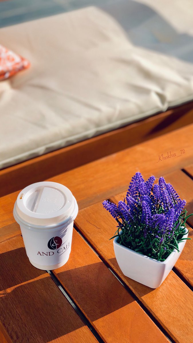 K_al9ane3's tweet image. •||〰️🧡🌱
تحت تأثير﮼القهوة لا يمكنك أن تكون إلا سعيداً 
.
.
.
.
.
#قهوة #قهوتي #القهوة #اكواب_قهوة #تصويري #قهوة_السابعة #حروف_وقهوة #مساء_القهوة #حروف_بنكهة_القهوة #صباح_القهوة #قهوة_الصباح #صباحي_أنت  #قهوة_الصباح_والمساء #عشاق_القهوة