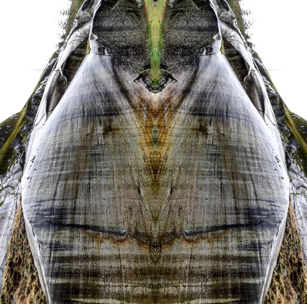 OccupyUN's tweet image. If the winds blowing out from the west leave the Eastern doors wider than open. Clean #Kernals won&apos;t take orders unless it  xes34488sotw739383939djeidhe8aydue8362818,72u27888888.00000000833223332233332233332233332333232223