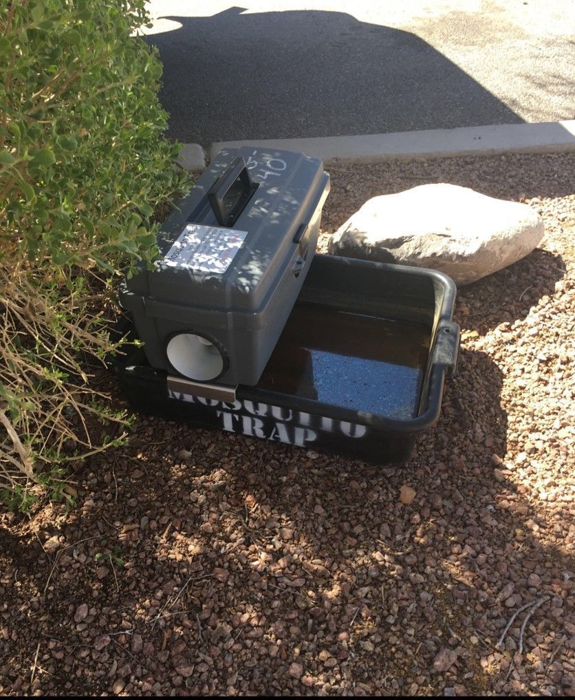 #MosquitoMonday: What are these? They're Health District #mosquitosurveillance traps that we use to monitor #mosquito activity in Southern Nevada. For #mosquitosurveillance info: j.mp/2KpJf1R  #Vector #MosquitoBreeding #FighttheBite #EnvironmentalHealth #Vector