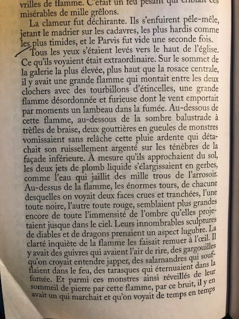 GARREAU75's tweet photo. #NotreDameDeParis #notredamedeparis 
Victor Hugo avait tout imaginé 💔 https://t.co/JZNhvtuCQ7 https://t.co/mMoDuCA3K8