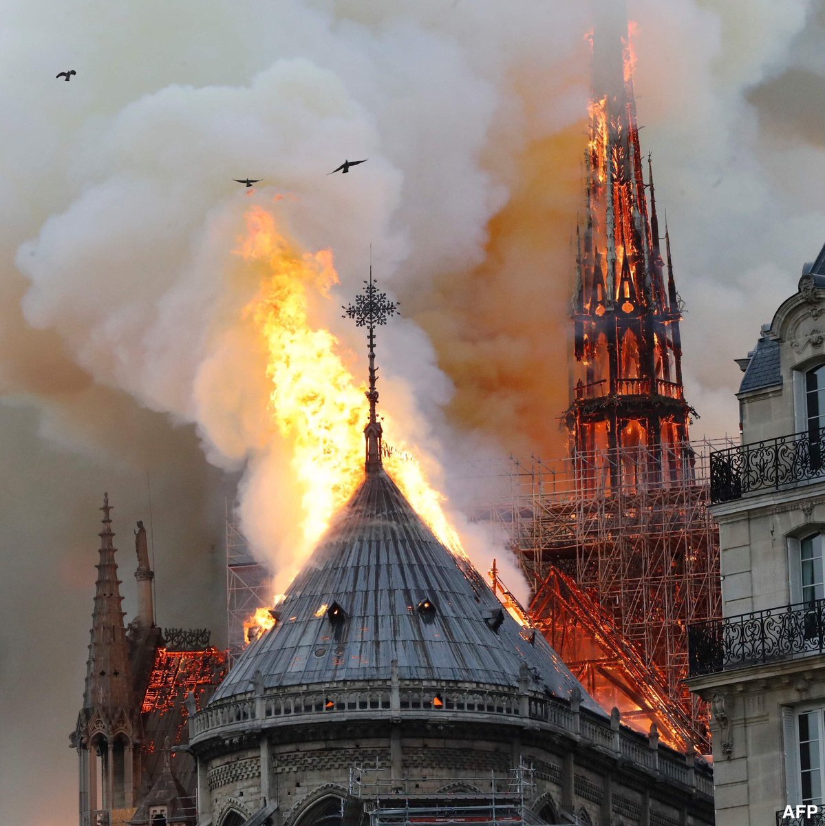 Émotion devant l’incendie qui ravage #NotreDame de Paris,  un joyau du patrimoine français est en train de disparaître . 
Nos pensées vont aux pompiers et à tous les services d’urgence.