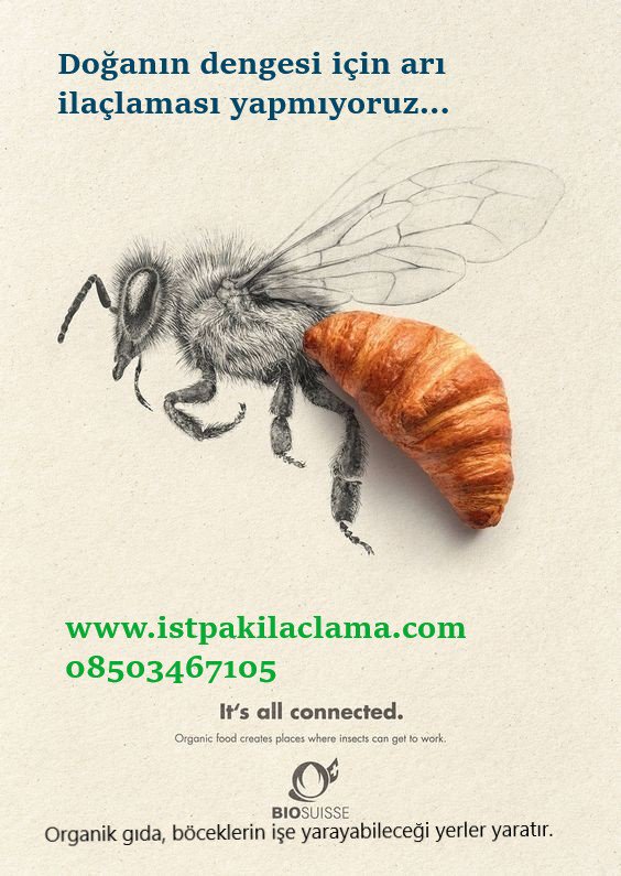 istpakilaclama.com  #böcek #ilaçlama #haşare #kemirgen #istanbul #ilaçlamaservisi #pestcontrol  #derman #spraying #cockroach #hygienespraying  #istanbulilaçlama #profesyonel #hijyen #hamamböceği #sivrisinek #المبيدات #commercial #bug #jelilaçlama #RodentControl#NotreDame