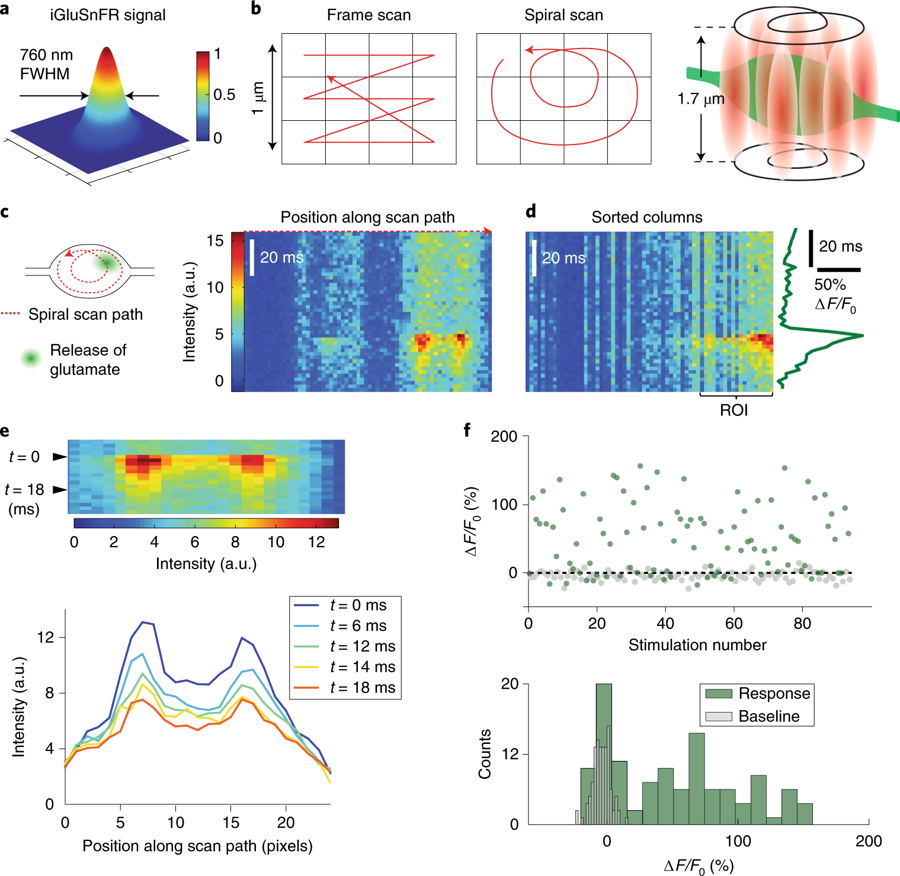 SimWieg's tweet photo. Interested in imaging glutamate directly at single synapses in hippocampal slices with high spatio-temporal precision? Here is how: https://t.co/YIzq4PYGda
@CelineDurst, @OertnerLab https://t.co/NJhmUrtMQq