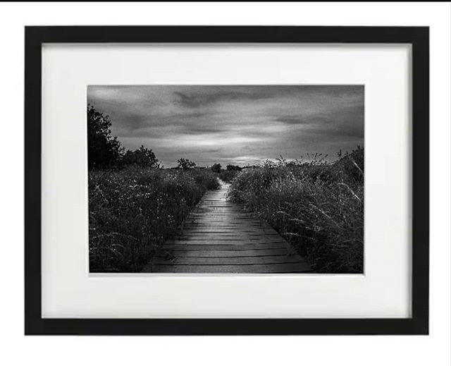 Studio23bySarah's tweet photo. Beautiful black and white image of Fenor Bog in Co Waterford. This framed image if for Sale.  20x16 inch frame is €50 excluding P&amp;P *collection can be made if in Waterford location.
Other size are available pm for prices

#fenorbog #fenor #Waterford … https://t.co/tjCuXhDmQF https://t.co/SipHtn6K8T