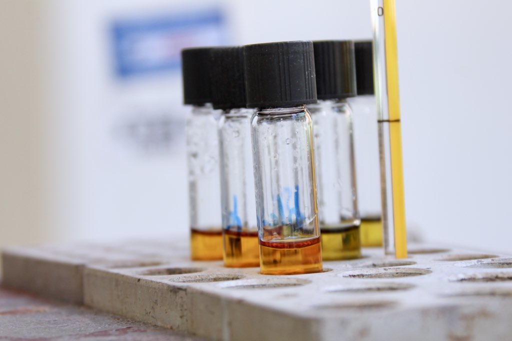 CONEP_RD's tweet photo. El @IIBIOFICIALRD conduce investigaciones científicas en áreas importantes del desarrollo nacional; además promueve la transferencia e #innovación tecnológica, así como la consultoría técnica, para contribuir a mejorar la #productividad y #competitividad del país. https://t.co/YSOEPGkAji