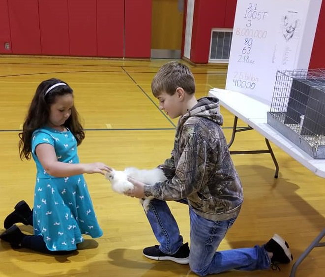 BlackfordSchls's tweet photo. Thank you to the BHS FFA for sharing your love and knowledge of local agriculture with our younger students! We really appreciate all you do! 
#BHSFFA #ChooseBCS https://t.co/8H9SER2W1p