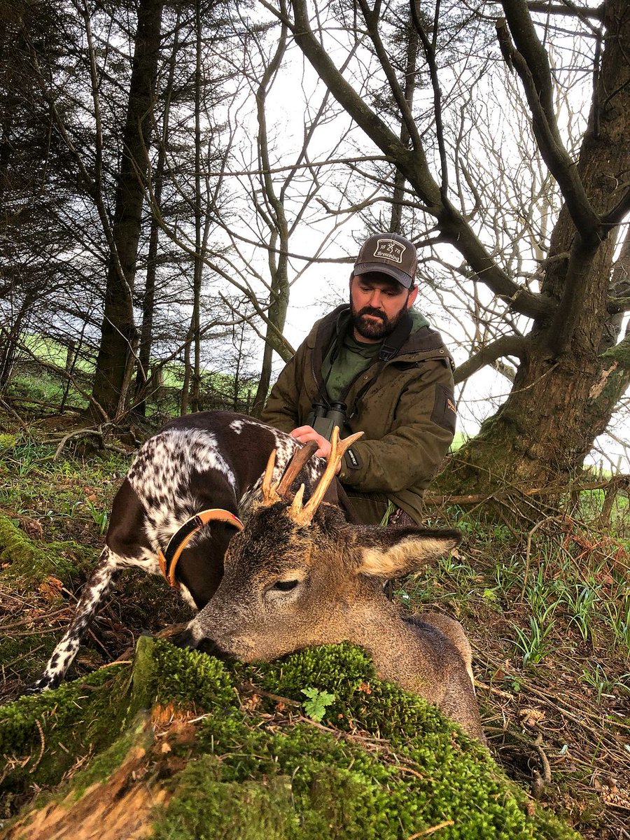 VikingArmsLtd's tweet photo. Chris Dalton out with Wayne finishing his last stalk for DSC 2
An unusual malformed buck which is interesting Zosia, good kit helps enormously.
#Roebuck #DeerStalking #HaenelRifle #Jaeger10 #LAPUA #Meopta #MeoRange #HolikHunting #VIKINGFT #VIKING https://t.co/haHnTSQjtN