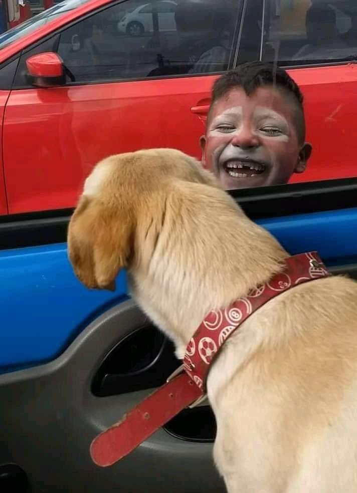 74Ixcel's tweet photo. ❤️🐶 https://t.co/1J7iXdij72
