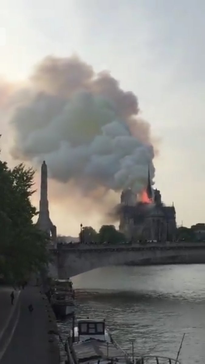 Abraham D. 6'3.25 195lbs (A $1399.99 Value) tweet media