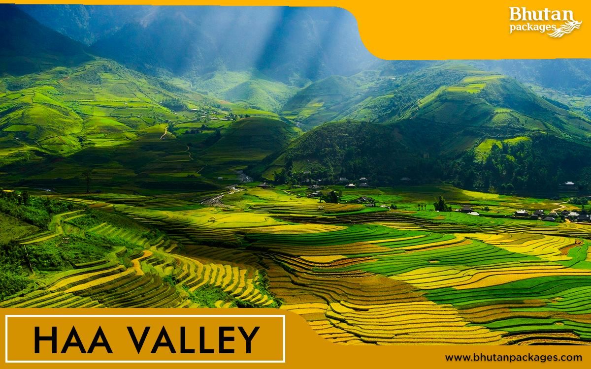 Bhutanpackages's tweet photo. What Bumthang has to provide to you 
+91- 9733377114
IVR: 8448448944
https://t.co/j2iCOEqF1A
#BhutanPackages #CarRental #travel
#HotelBooking #BhutanTour #Bhutan https://t.co/bVbjMPNXwC