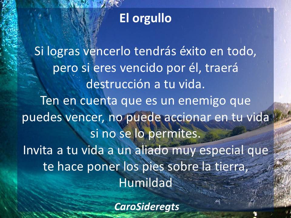 Caro Sideregts on Twitter: Caro Sideregts on Twitter: