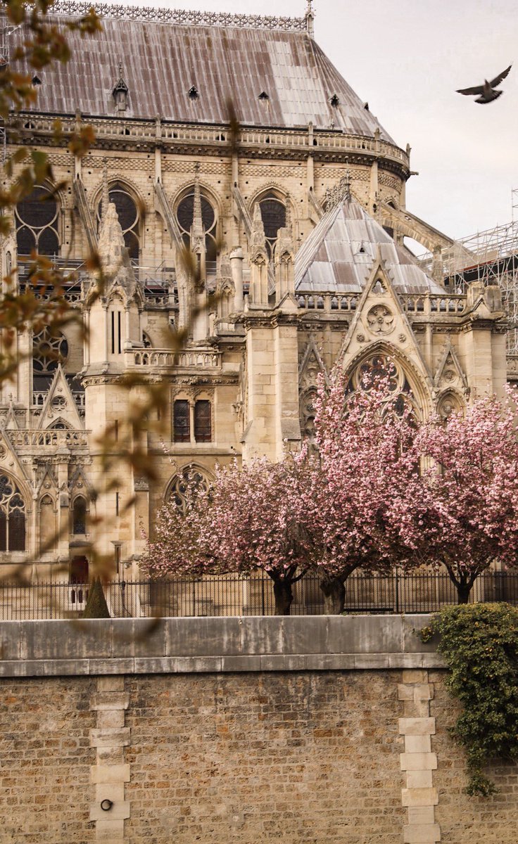 itinera_magica's tweet photo. Hier soir, je suis allée photographier #NotreDame, la plus belle église du monde à mes yeux. Mon cœur saigne de la voir en flammes, j’en pleure... De tout cœur avec les pompiers de Paris. 💔Quel drame. https://t.co/O3CupIPWRP