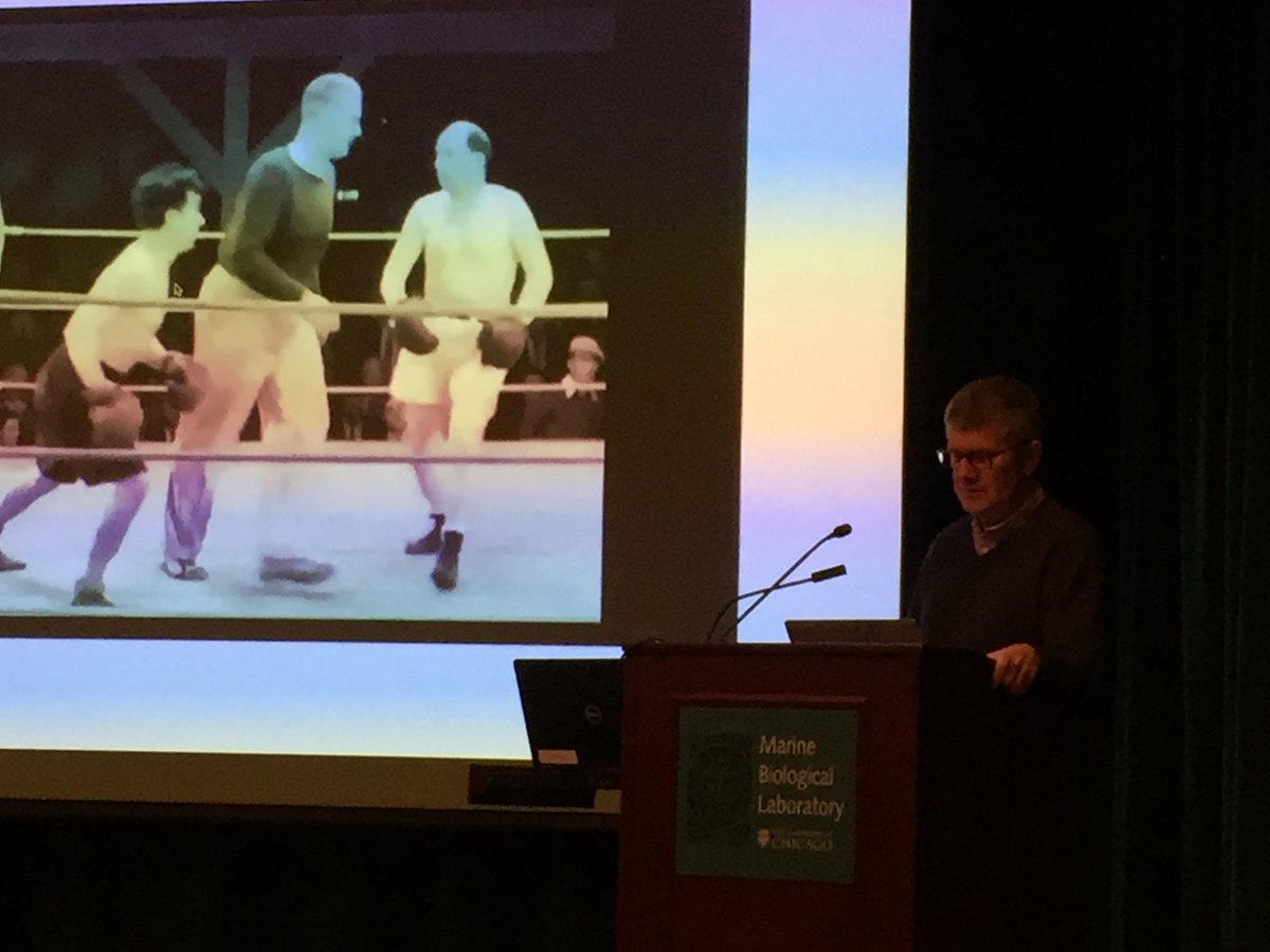 Mark Jenkins just gave a terrific talk at WHIP 2019 and received his whip to keep...  beware!
