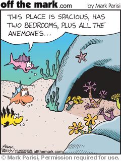 PatLins13's tweet photo. Need some "anemones" of your own?
Stop fishing for the right agent.
I'm right here!
Reel me in..I guarantee it will go swimmingly!
https://t.co/1NQJFIQpTS https://t.co/Ynae6SDwo7