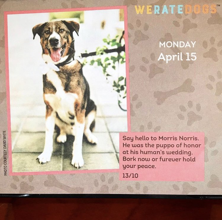 #TaxDay? No no, it's #MorrisNorris Day!