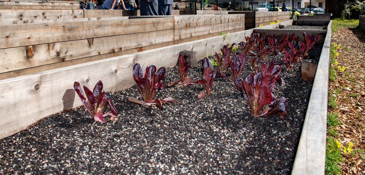 Happy Earth Month! We have plenty of ways for you to get out in our parks &amp; help steward our environment including a volunteer day w/ the <a href="/missioncontinue/">The Mission Continues</a> at La Grande Community Garden from 9AM-2PM this Saturday, 4/20. To volunteer/more info, click here: bit.ly/2VcqhfV